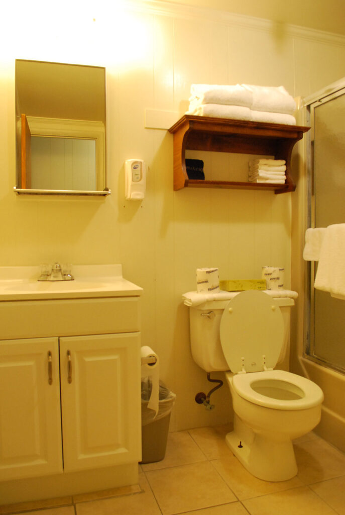 a white toilet sitting next to a shower in a bathroom