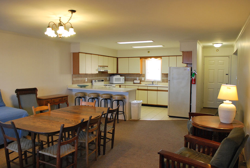 a kitchen and living room with a dining table
