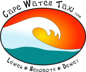 Wave and sunset sky logo for Cape Tours and Taxi