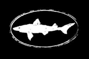 black and white drawing on a shark