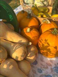a table topped with lots of different types of vegetables