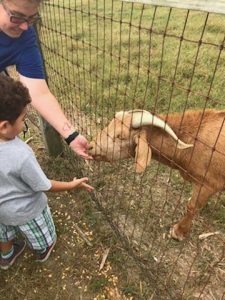 kid looking at goat