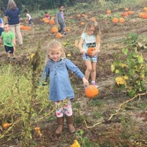 kids in pumpkin patch