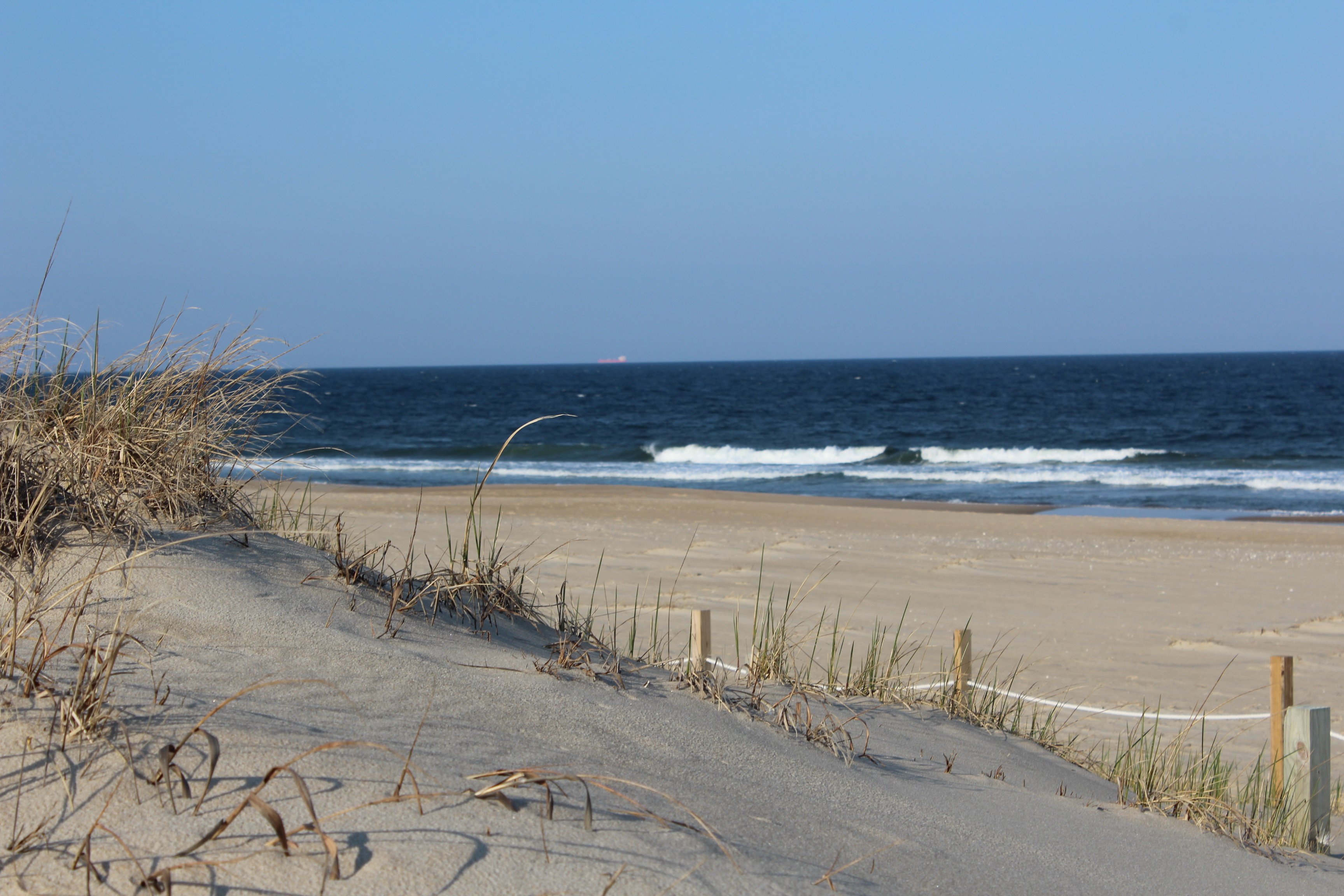 a beach with sand and grassy dunes in the foreground and ocean in the background