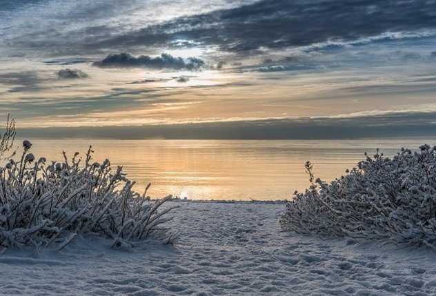 snowy beach
