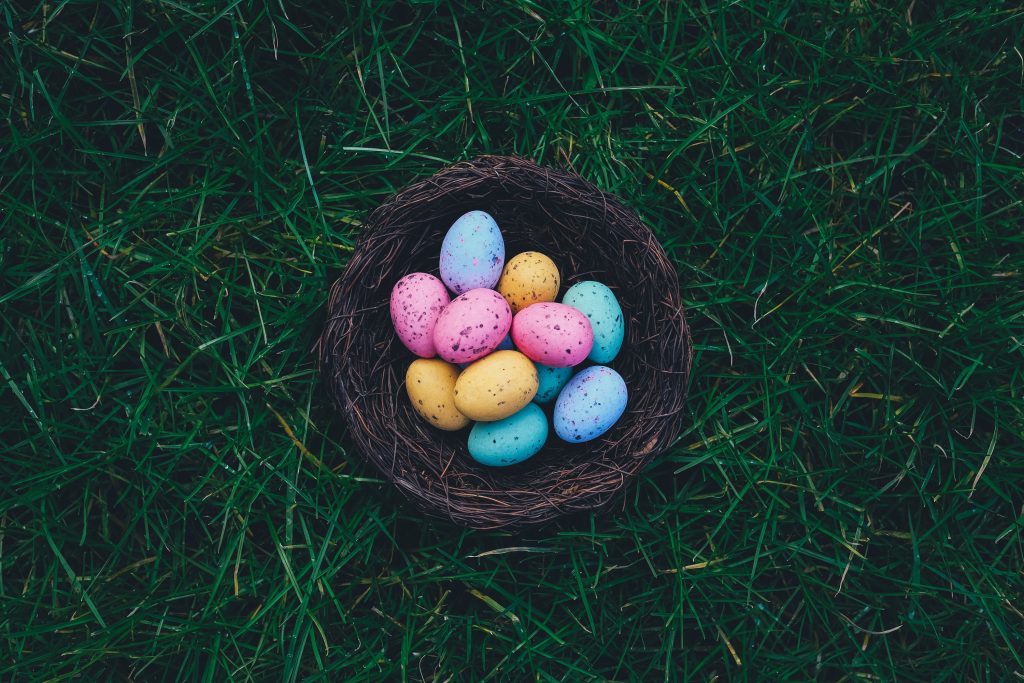 Dyed eggs in a brown nest on grass