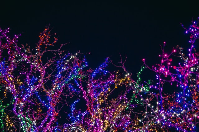 Winterfest of Lights