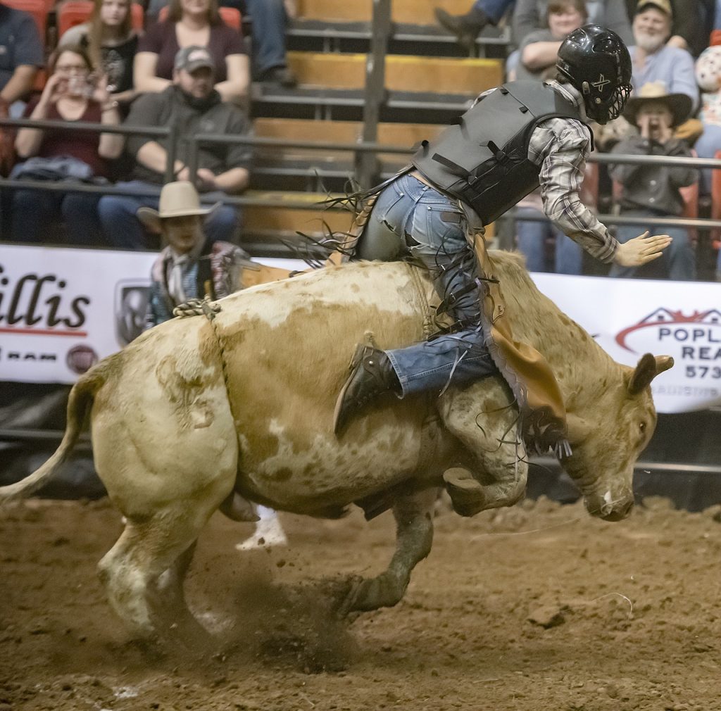 Man riding a bull