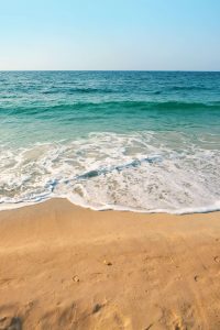 What's Open in Ocean City?