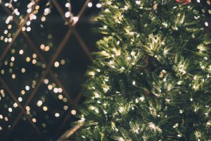 winterfest of lights
