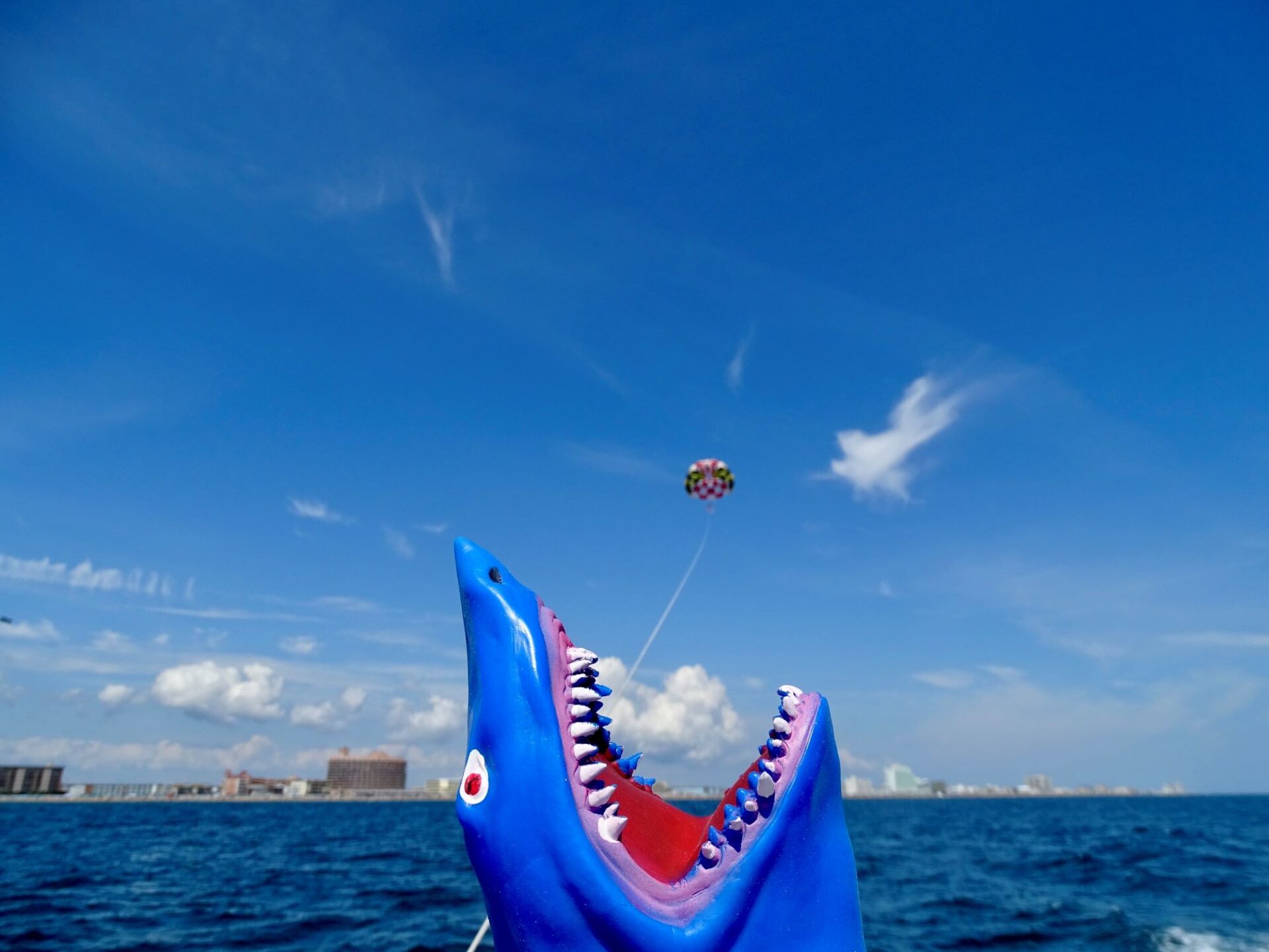 Shark Puppet with OC parasailers