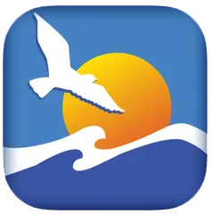 a picture of a bird flying over the ocean