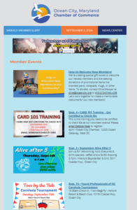 the ocean city mayland website