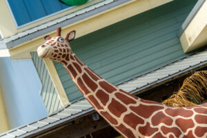 a giraffe standing in front of a building