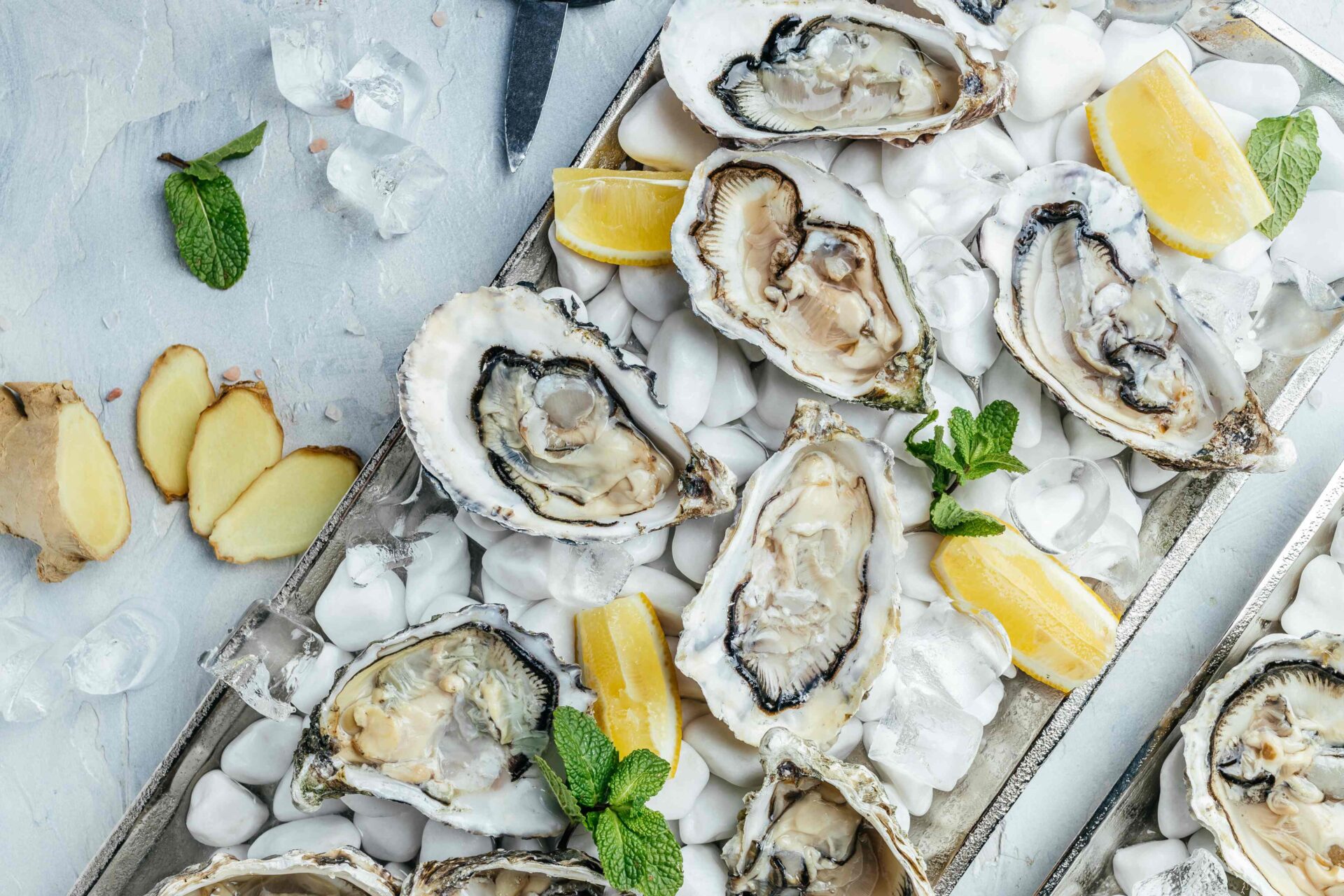 Oyster & Scales
