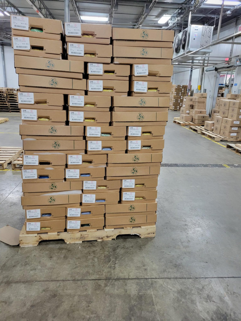 Stacks of coated cardboard boxes