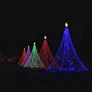 a group of christmas trees lit up at night