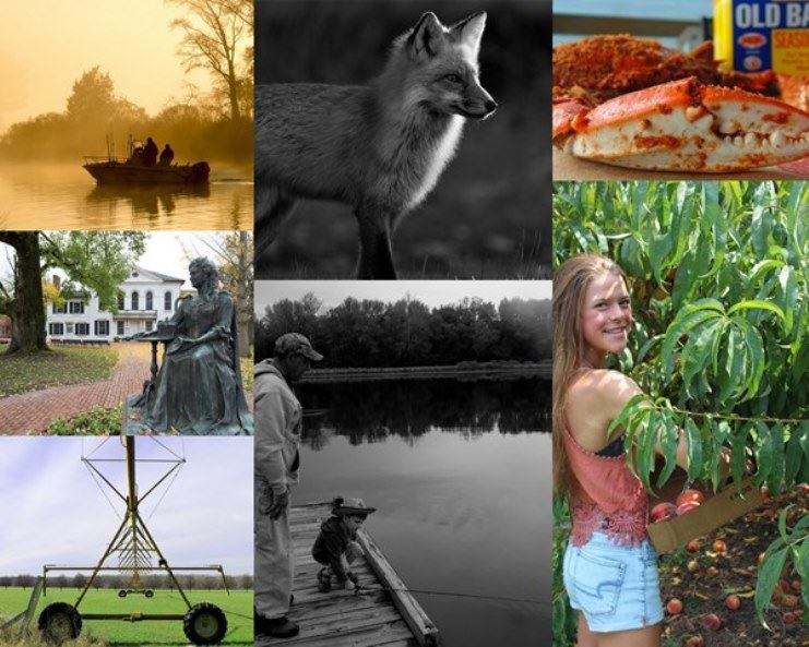 #VisitQAC Photo Contest