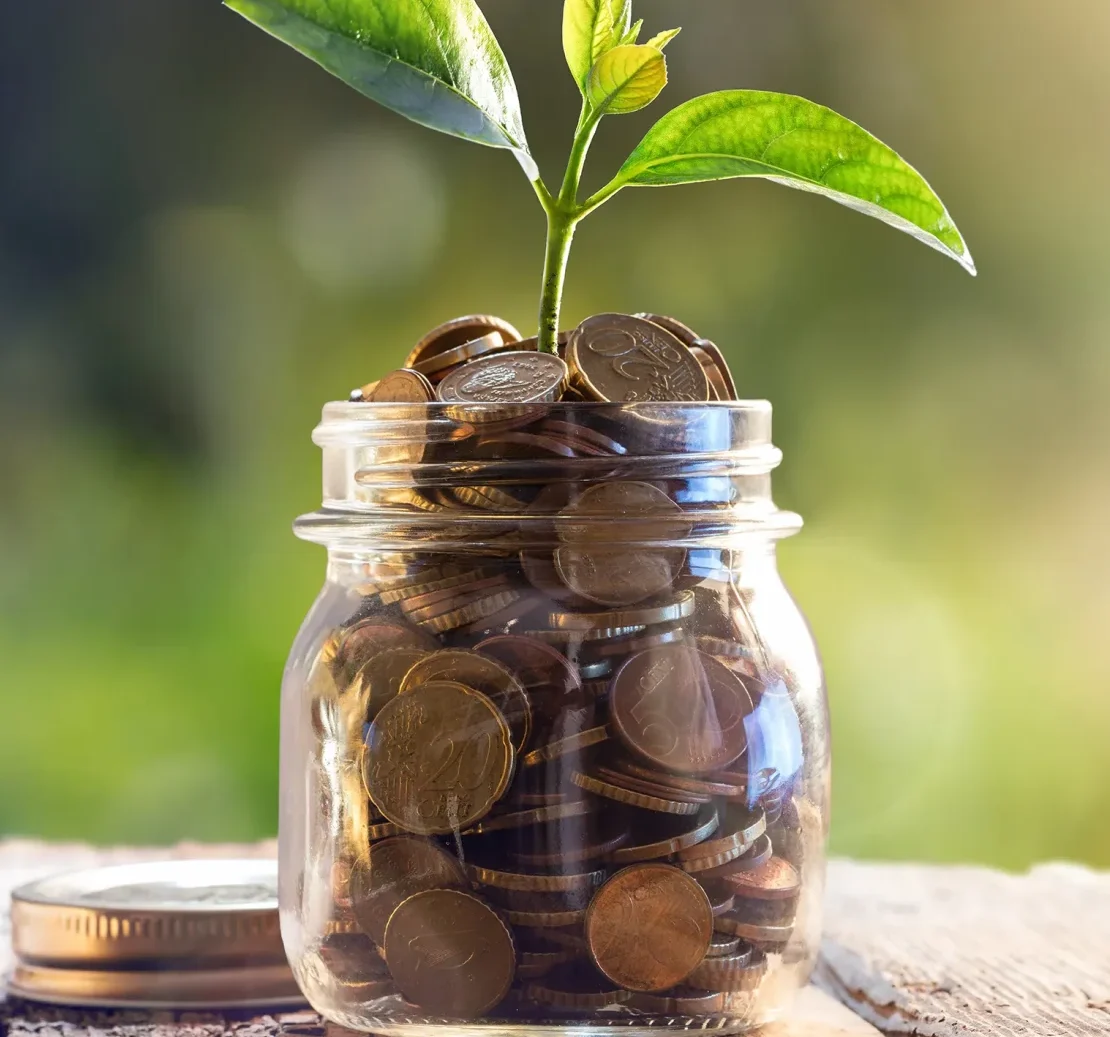 plant in a jar full of coins