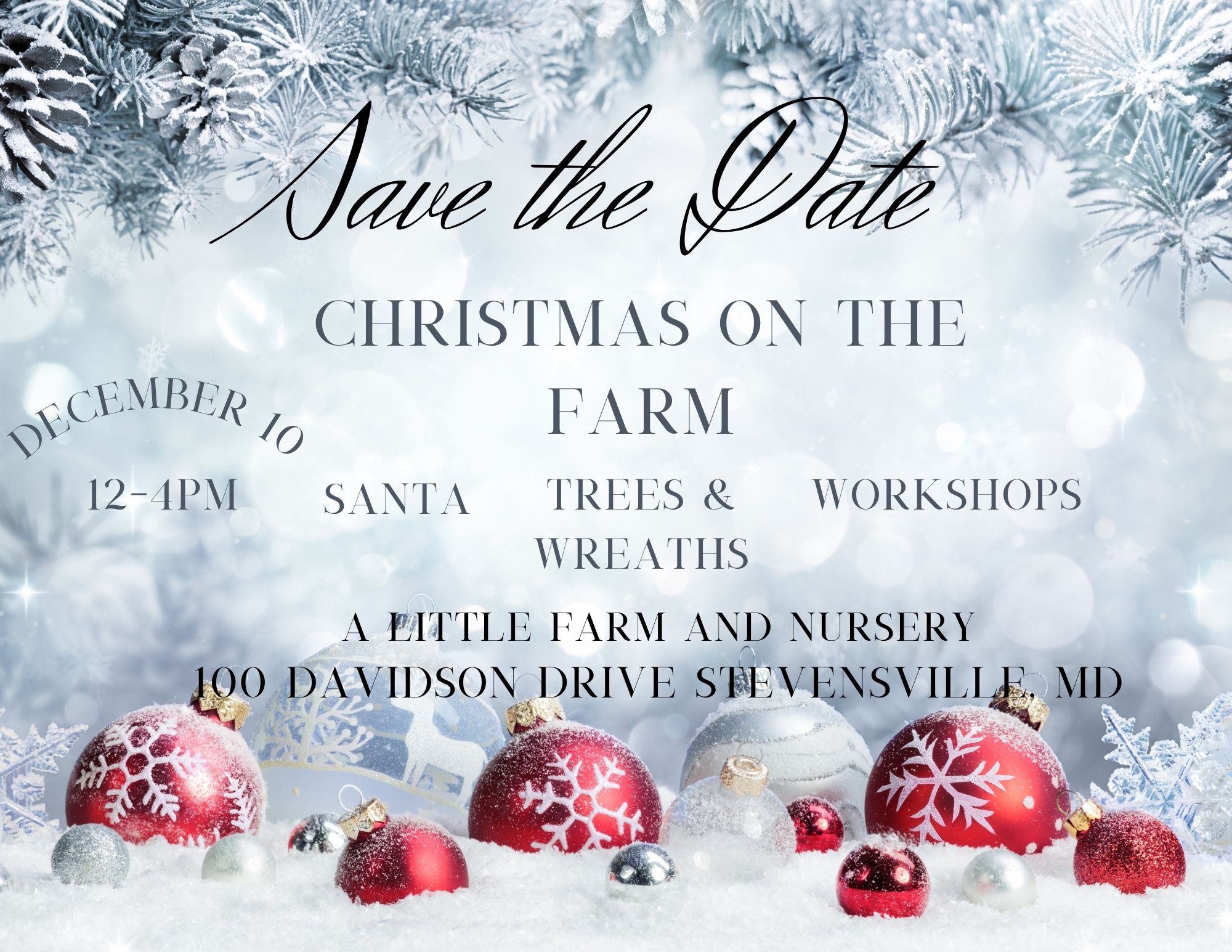 Christmas on the farm at a little farm and nursery December 10 2022