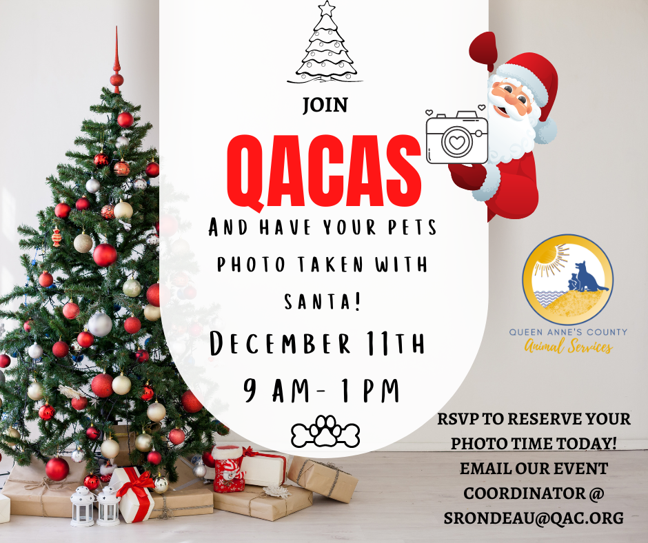 QACAS Pet Photos with Santa