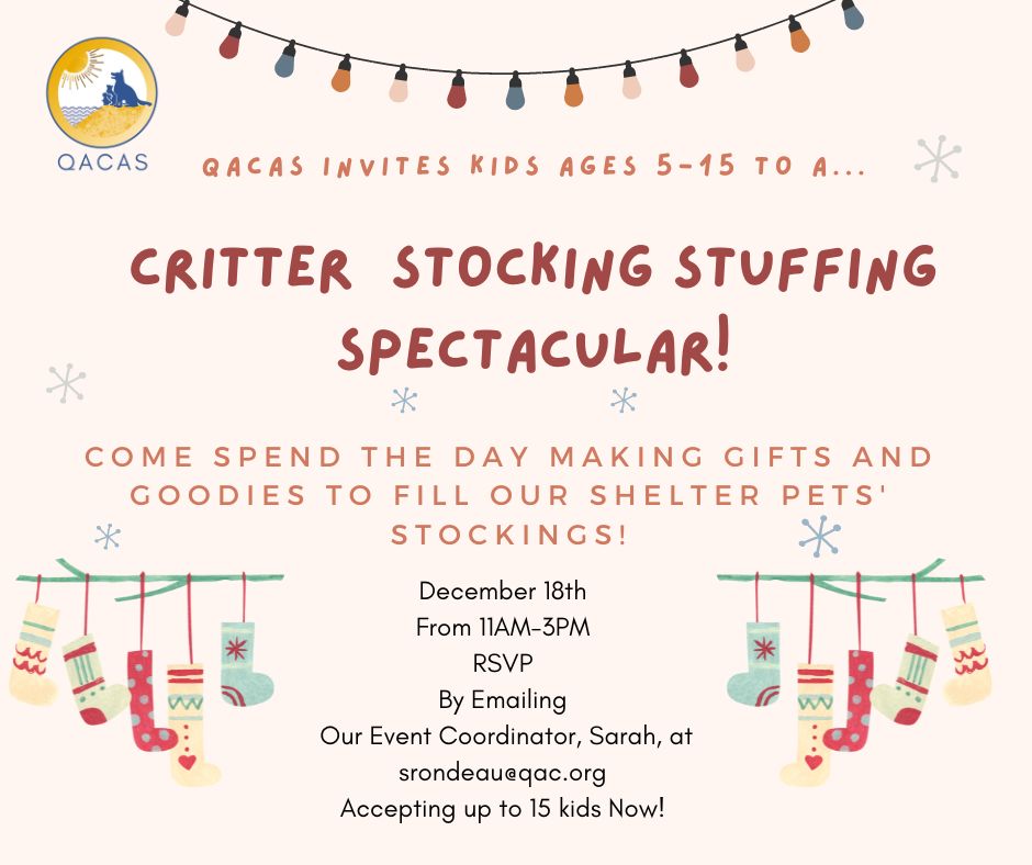 Queen Annes County Animal Services Critter Stocking stuffer