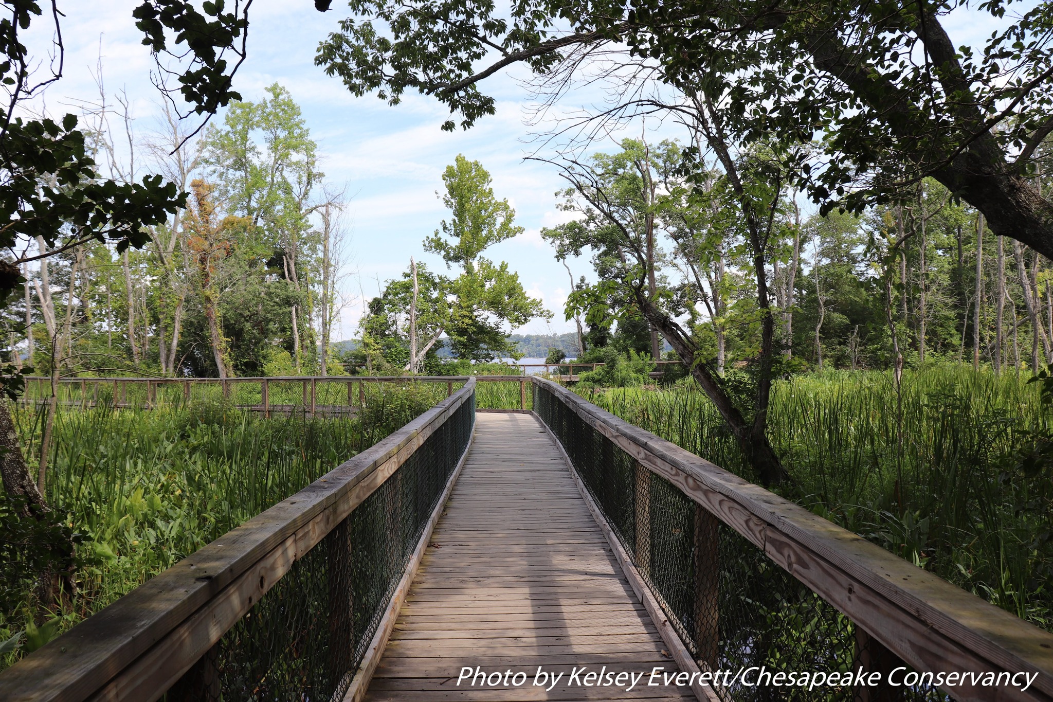 Chesapeake Hiking Series February 2023 Chesapeake Conservancy