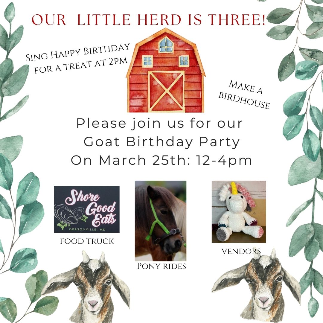 A Little Farm and Nursery - Goat Birthday Party 2023