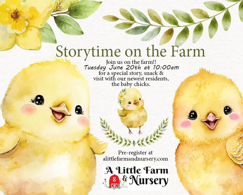 Storytime on the farm at a little farm and nursery