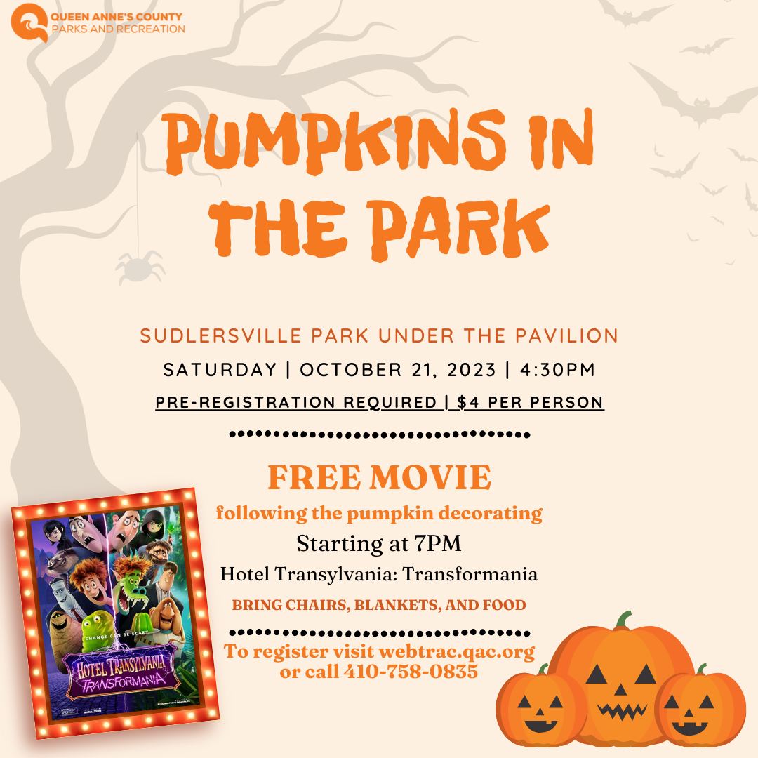 Pumpkins in the park