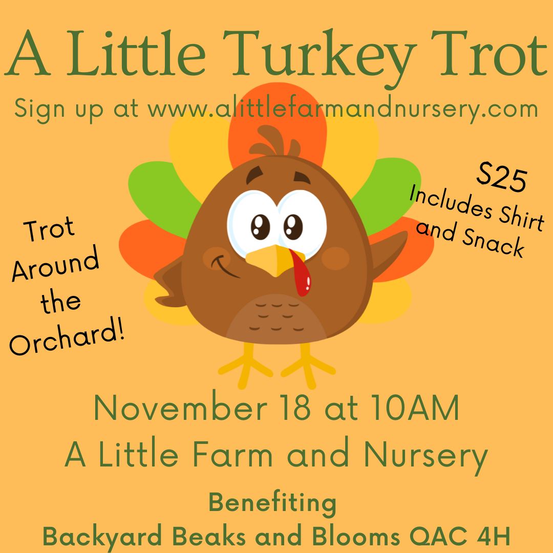 Turket Trot