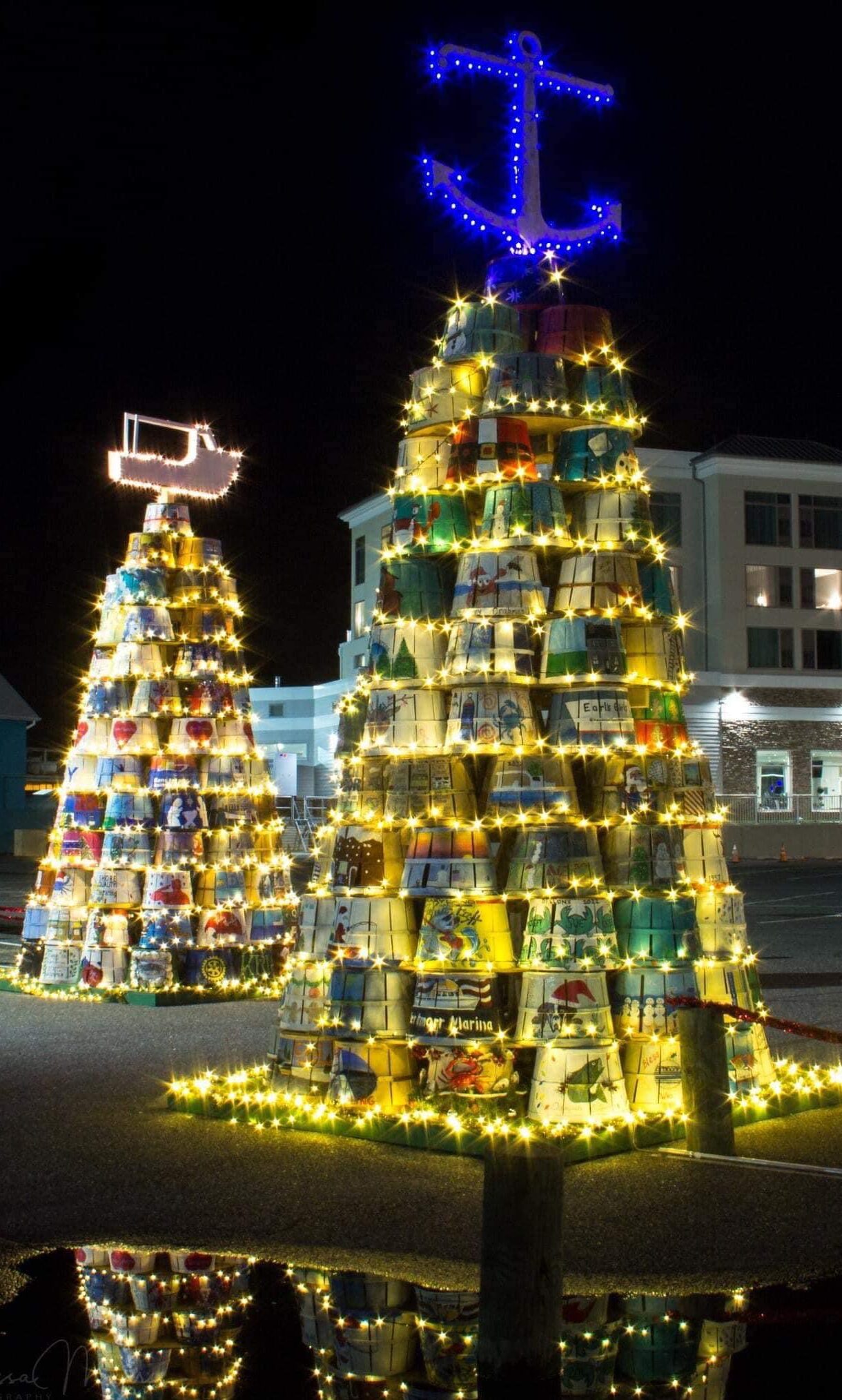 Brier Island Christmas: a story of family, tradition, grief and love | PNI  Atlantic News, image size:1220x2028