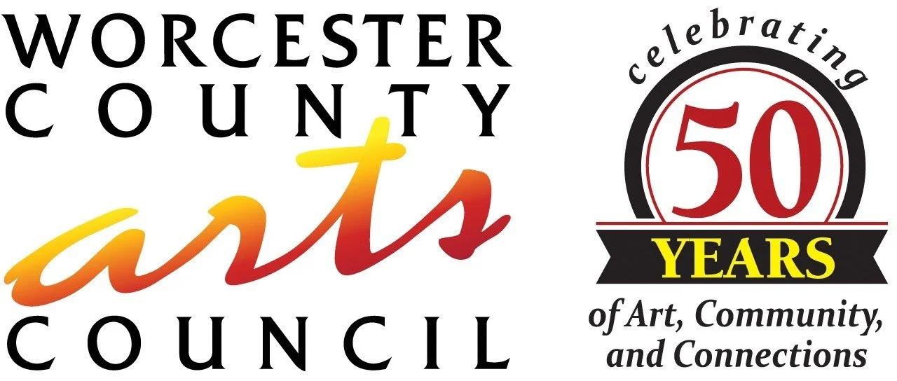 Worcester County Council