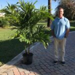 a man standing next to a small palm tree