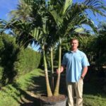 a man standing next to a palm tree