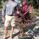 a man standing next to a potted plant on a sidewalk