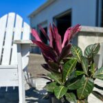 a white chair sitting on top of a patio next to a potted plant