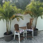 a couple of chairs sitting on top of a brick patio