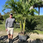a man standing next to a palm tree