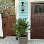a house with a potted plant in front of it
