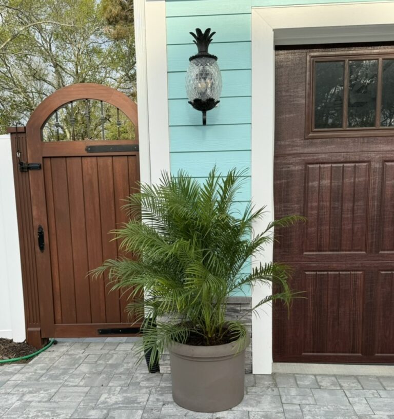 a house with a potted plant in front of it