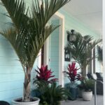 a porch with potted plants on the side of it