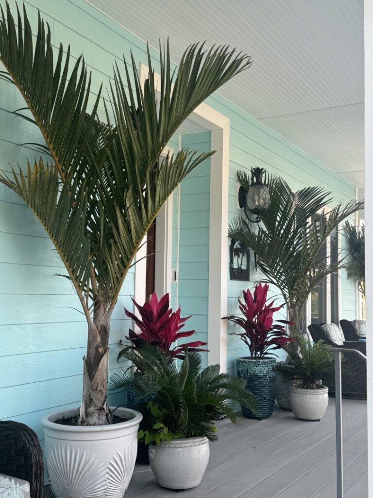 a porch with potted plants on the side of it