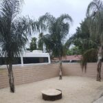 a backyard with a bench and palm trees