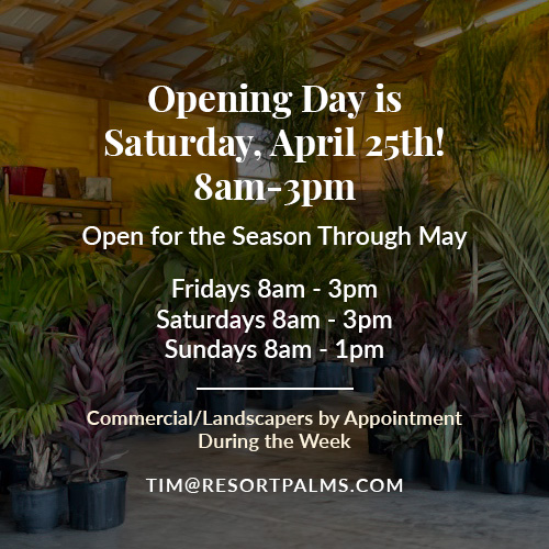 a poster advertising a garden sale