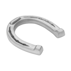 Horseshoe Paperweight