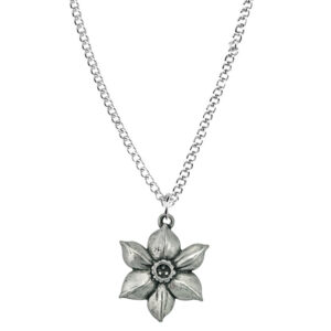 Flower of the Month December