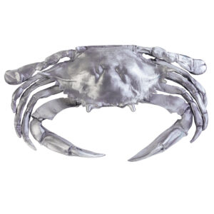 Life Sized Crab