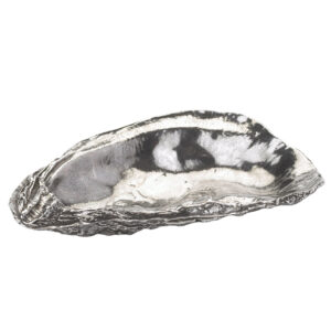 Oyster Shell