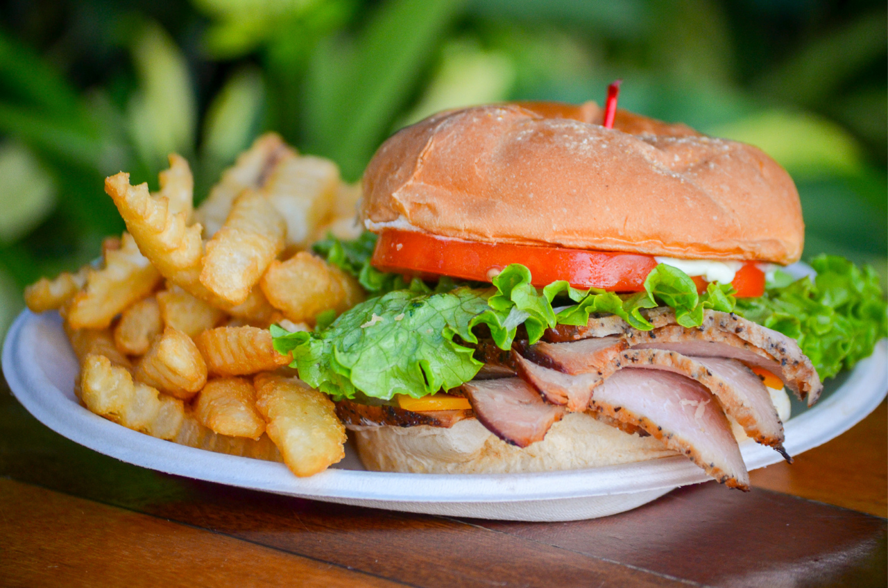 a plate with a sandwich and french fries on it